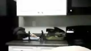 فتاة مثيرة تمارس الجنس مع جارها اللحم الطازج بعد انتقالها إلى شقتها الجديدة