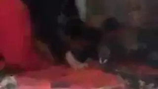 إباحية في مسبح خارجي: سحاقيات تمارس المقص تبلل الجميع