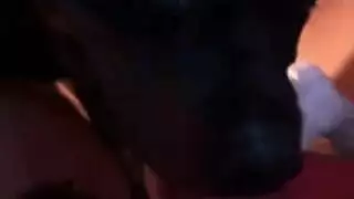 جنس حيواني متوحش: شقراء تنتظر كلب جائع