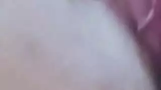 بوصة الديك متجر طعام