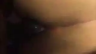 الديك الأسود سير الهرة الكبيرة