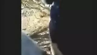 صلابه مصر في الحمام