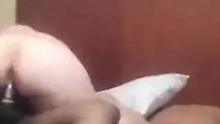 سياحي راعية البقر العكسي