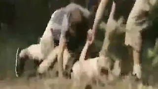 مشعرات النفس مبلل خشب الأبنوس الجنس الشرجي
